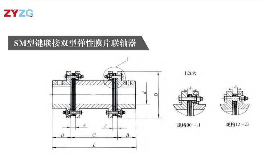 SM型鍵連接雙型彈性膜片午夜激情免费视频